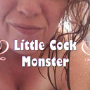 blog logo of littlecockmonster