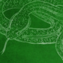 blog logo of Slytherin Headcanons