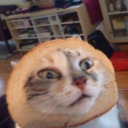blog logo of bread cat !
