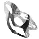blog logo of chameleonkirsty