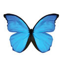 blog logo of ⋆sic parvis magna⋆