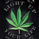 blog logo of Light Up Your Life