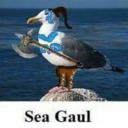 blog logo of Disgruntled Seagull