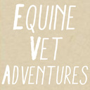 blog logo of equinevetadventures
