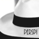 blog logo of perspi-looks
