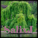 blog logo of Salixj's Place