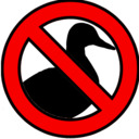 blog logo of Bird Religion