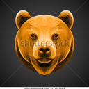 blog logo of The Bear Stash