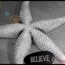 blog logo of The Sensual Starfish