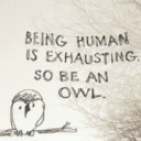 blog logo of Being Human Is Exhausting So Be An Owl