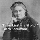 blog logo of clara schumann could beat the shit out of you