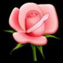 blog logo of Kitty-Rose