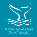 blog logo of NOAA's Office of National Marine Sanctuaries