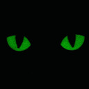 blog logo of Eyes in the Dark