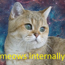blog logo of Chronic Cat Lady