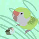 blog logo of Bird
