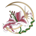 blog logo of needleslace