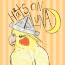 blog logo of Hats on Luna