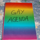 blog logo of Promoting and Enforcing the Gay Agenda