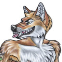 blog logo of Coyote: A Snapshot of Derp