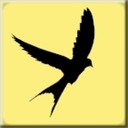blog logo of Oiseaux※Birds※Aves