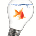 blog logo of thinktankgoldfish