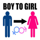 blog logo of Boy To Girl