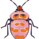 blog logo of Barbara Dziadosz Illustration
