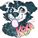 blog logo of Kexa Knots