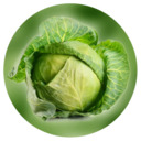 blog logo of Cabbage Land