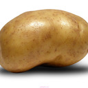 blog logo of Patates