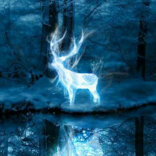 What does your Patronus mean — New patronus