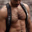 blog logo of Hairy Chest Perfection