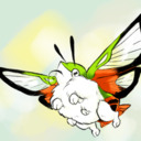 blog logo of Humming Bird Moth