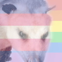 blog logo of opossum mcdonalds, a depressed fck