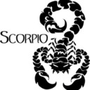blog logo of Zodiac Signs As...