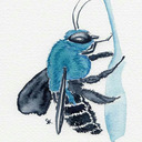 blog logo of bugs and stuff
