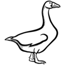 blog logo of Not Amazing Geese