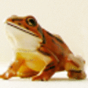 blog logo of 二番蛙貼雑帳