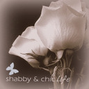 blog logo of shabbyechiclife