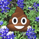blog logo of Pooping on Bluebonnets