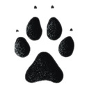 blog logo of only puppy girls