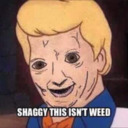 blog logo of Shaggy This Isnt Weed