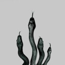 blog logo of Slytherin House Aesthetics