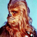 blog logo of Not your average Wookiee
