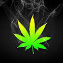 blog logo of Weed Bible