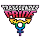 blog logo of Post Op Transsexual Vaginas