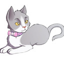blog logo of Kitten play collars and more