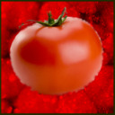 blog logo of The Tomato Chronicles