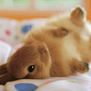 blog logo of Bunny Time